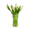 Deals โค๏ธ Juliska Ella 9" Corset Vase Clear ๐ 2 Deals โค๏ธ Juliska Ella 9" Corset Vase Clear ๐ -Juliska Sales unnamed file 116
