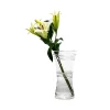 Buy 💯 Juliska Ella 14" Corset Vase Clear 🌟 -Juliska Sales unnamed file 1589