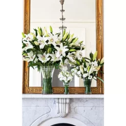 Cheap 🎉 Juliska Ella Corset Vase ✔️