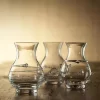 Best reviews of 😉 Juliska Mini Vases, Set Of 3 Clear ✨ -Juliska Sales unnamed file 1799