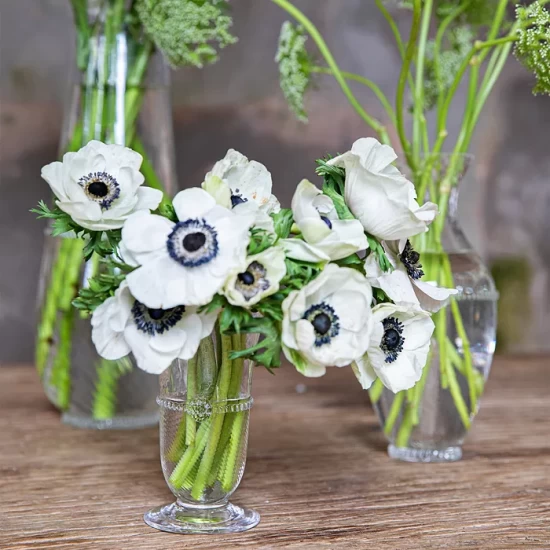 Wholesale π Juliska Graham 6" Posey Vase No Color π 4 Wholesale π Juliska Graham 6" Posey Vase No Color π - Image 2