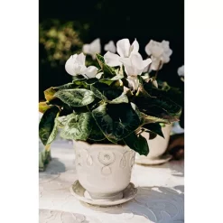 Discount 😍 Juliska Jardin Du Monde 5.25" Planter With Saucer Whitewash 👍 -Juliska Sales unnamed file 273