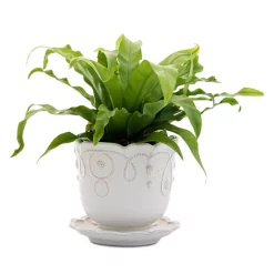 Discount 😍 Juliska Jardin Du Monde 5.25" Planter With Saucer Whitewash 👍 -Juliska Sales unnamed file 275