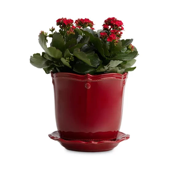 Best Sale ๐ Juliska Berry & Thread 7" Planter With Saucer Ruby ๐ 4 Best Sale ๐ Juliska Berry & Thread 7" Planter With Saucer Ruby ๐ - Image 2