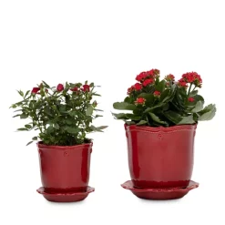 Best Sale ๐ Juliska Berry & Thread 7" Planter With Saucer Ruby ๐ 7 Best Sale ๐ Juliska Berry & Thread 7" Planter With Saucer Ruby ๐ -Juliska Sales unnamed file 475