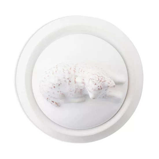 Best Sale โค๏ธ Juliska Henri Lamb Lidded Jar Whitewash ๐ 4 Best Sale โค๏ธ Juliska Henri Lamb Lidded Jar Whitewash ๐ - Image 2